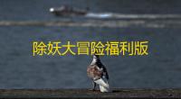 除妖大冒险福利版